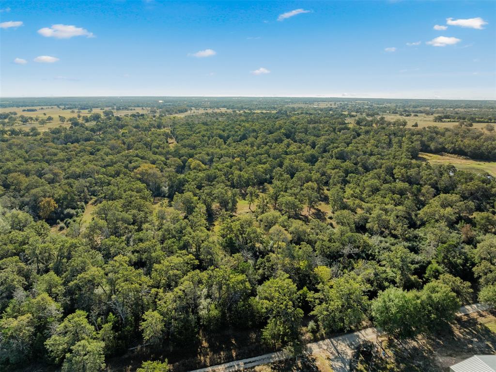 1176 Private Road 1181, Giddings, Texas image 36