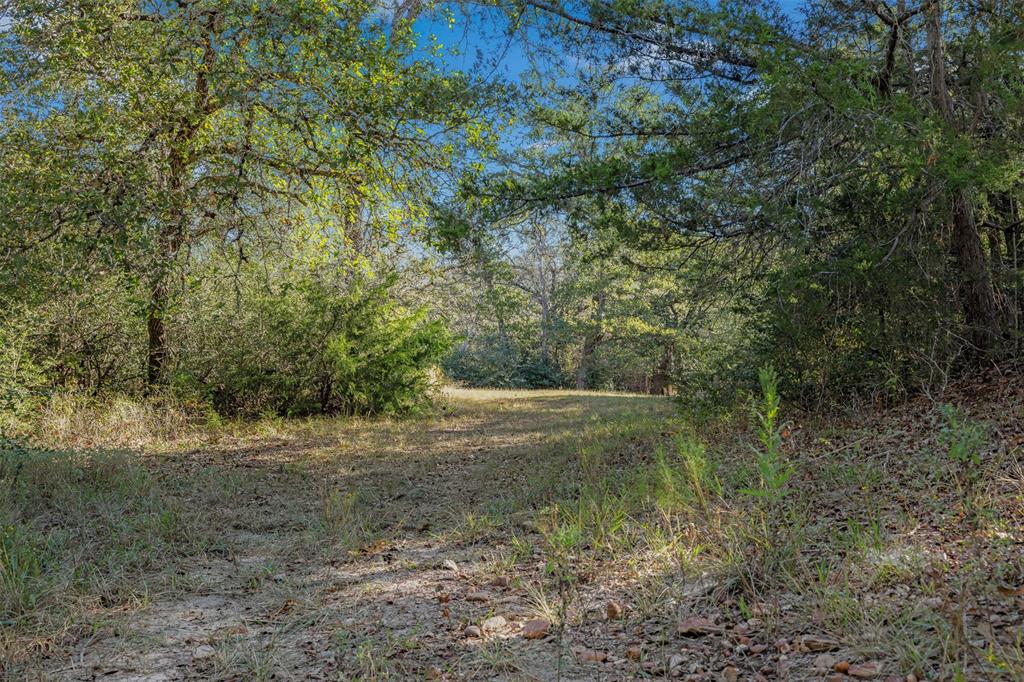 1176 Private Road 1181, Giddings, Texas image 17