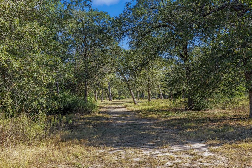 1176 Private Road 1181, Giddings, Texas image 23