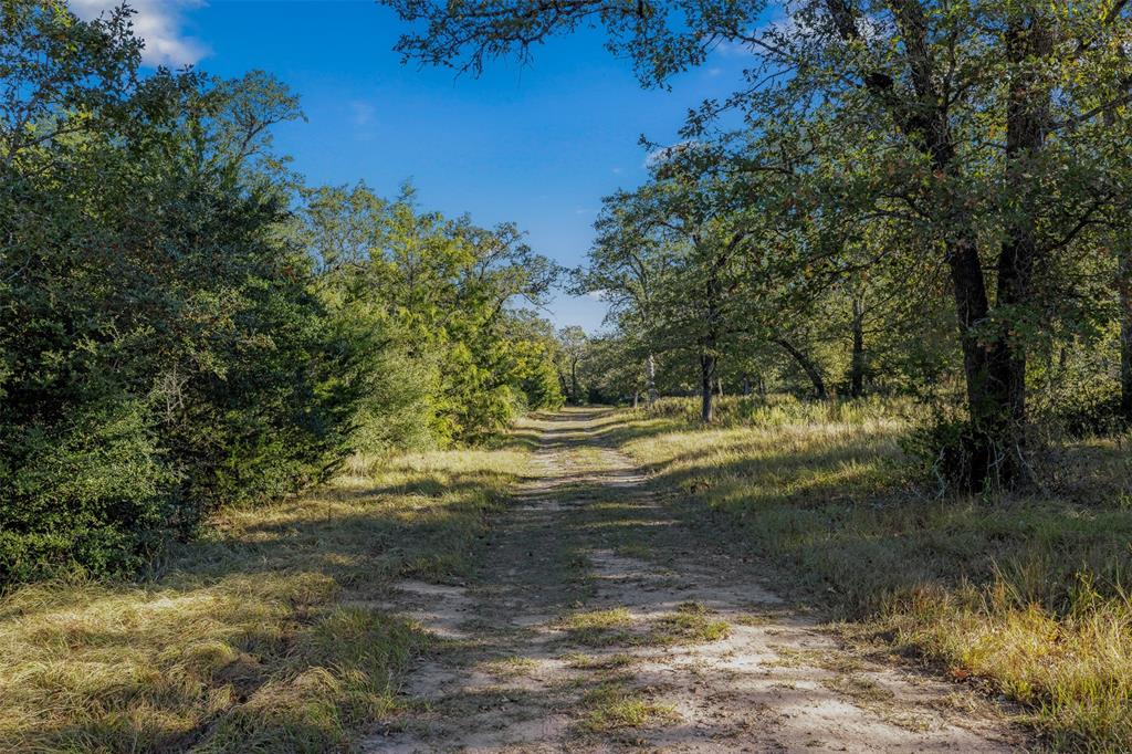 1176 Private Road 1181, Giddings, Texas image 12