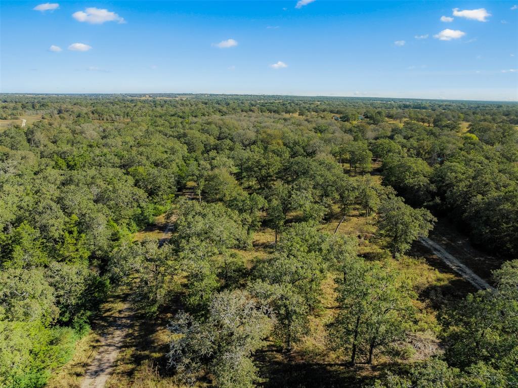 1176 Private Road 1181, Giddings, Texas image 39