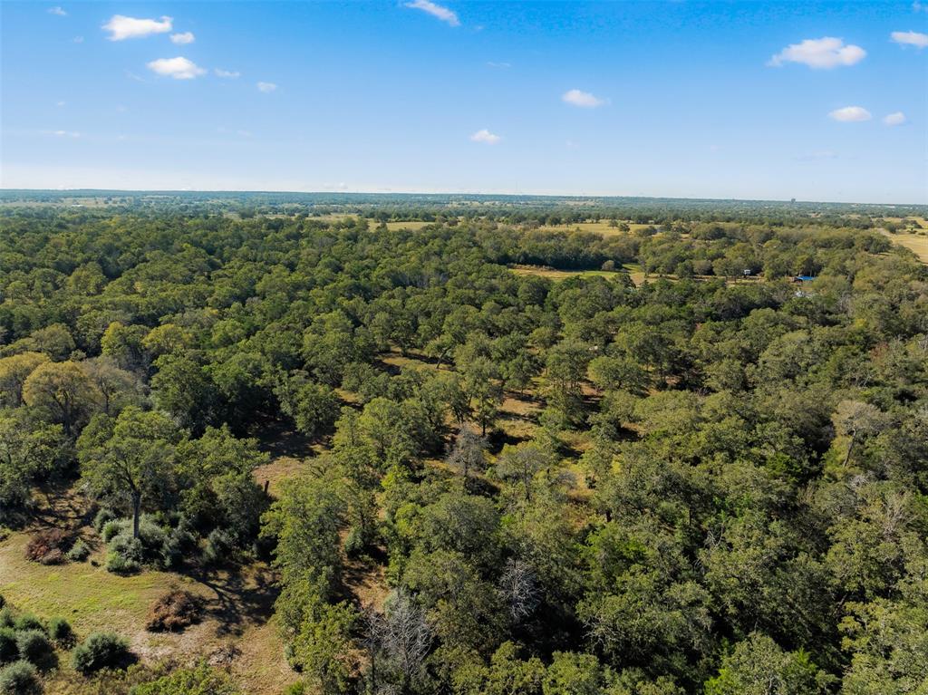 1176 Private Road 1181, Giddings, Texas image 37