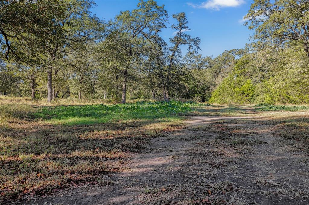 1176 Private Road 1181, Giddings, Texas image 19