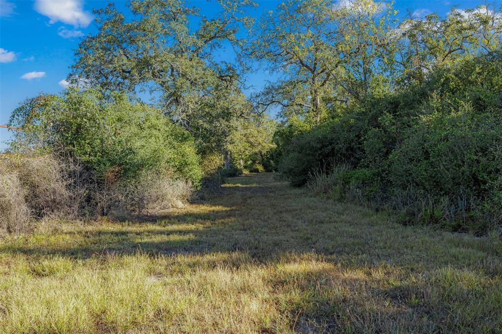 1176 Private Road 1181, Giddings, Texas image 7