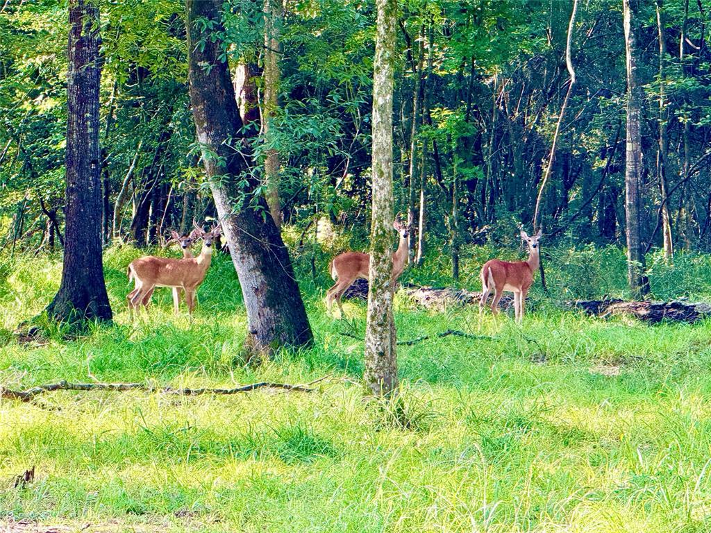 551 Private Road 643a