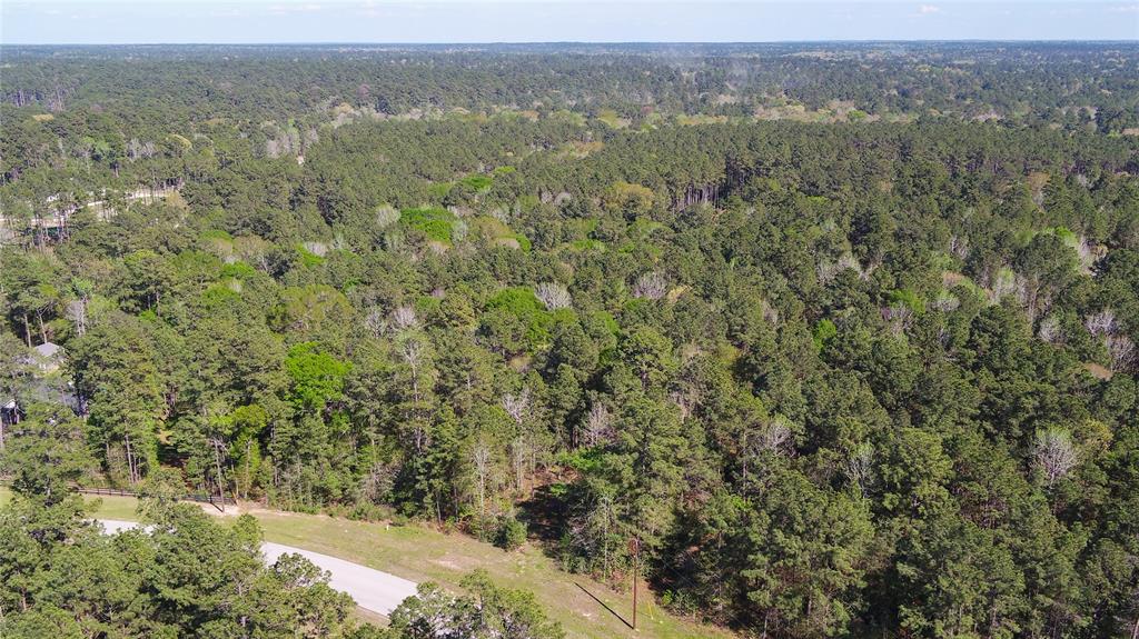 000 Bighorn Road, New Waverly, Texas image 24