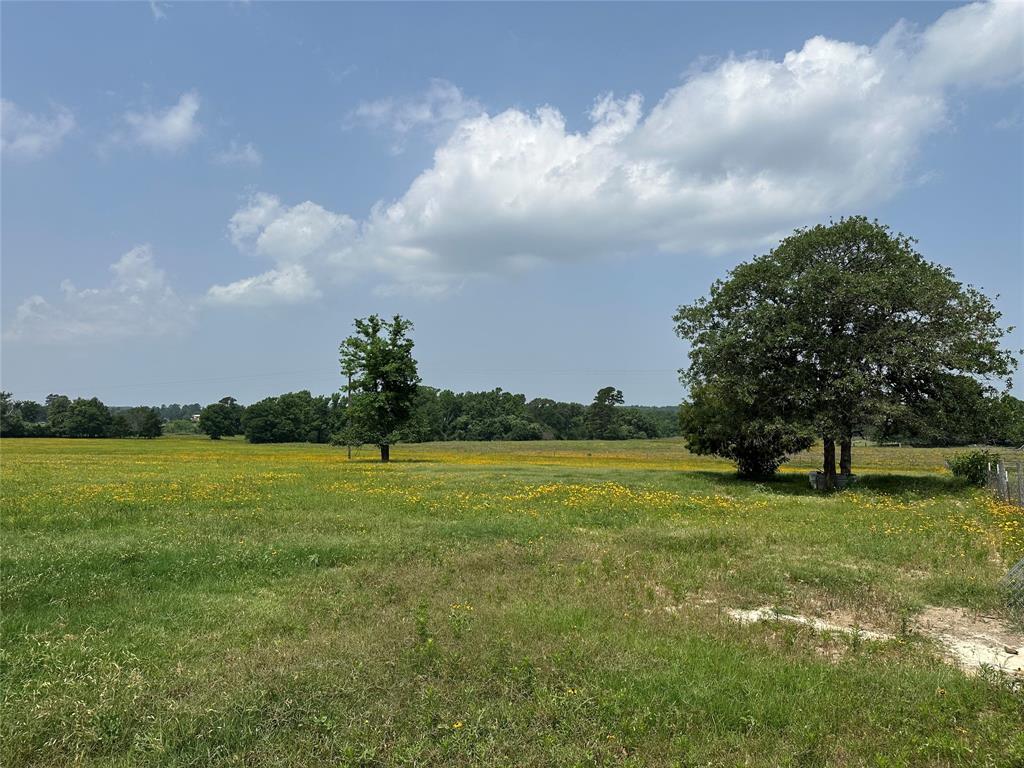12351 County Road 267, Buffalo, Texas image 29