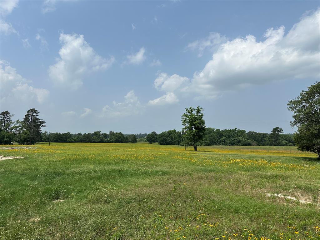 12351 County Road 267, Buffalo, Texas image 30