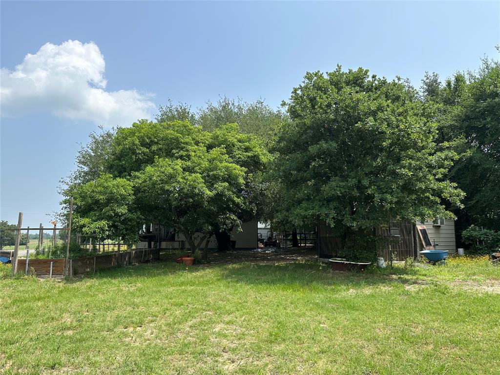12351 County Road 267, Buffalo, Texas image 28