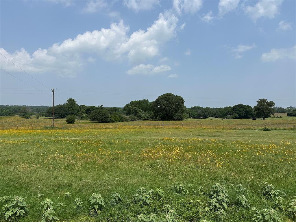 12351 County Road 267, Buffalo, Texas image 25