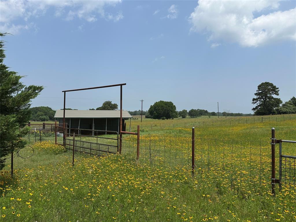12351 County Road 267, Buffalo, Texas image 26