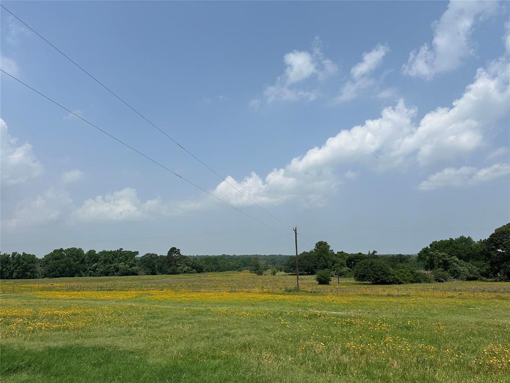 12351 County Road 267, Buffalo, Texas image 33