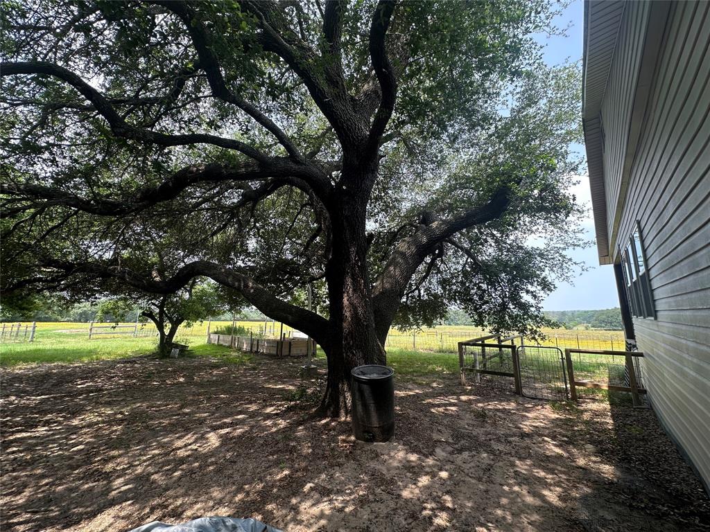 12351 County Road 267, Buffalo, Texas image 23