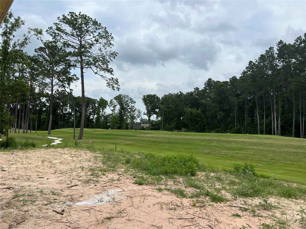 21807 Victory Green Way Way, Porter, Texas image 11