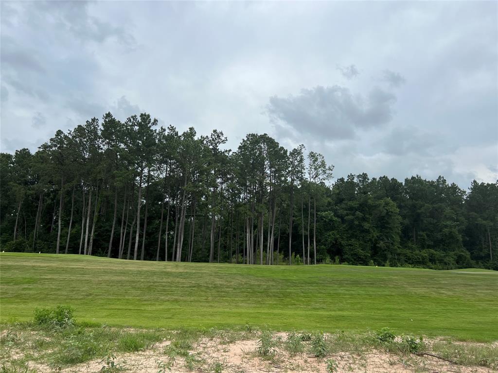 21807 Victory Green Way Way, Porter, Texas image 9