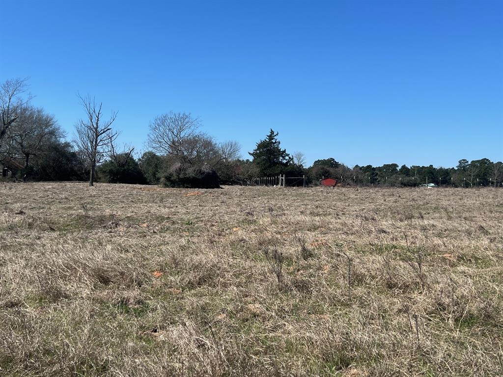 14 Ac Cr 145, Centerville, Texas image 6