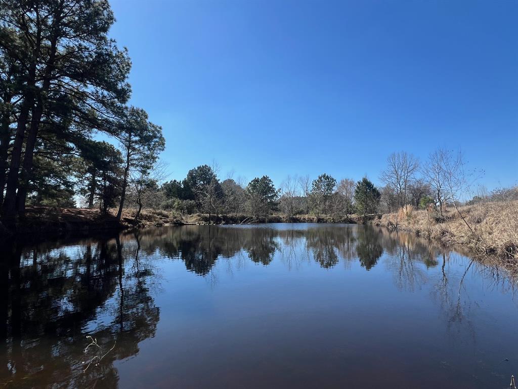 14 Ac Cr 145, Centerville, Texas image 1