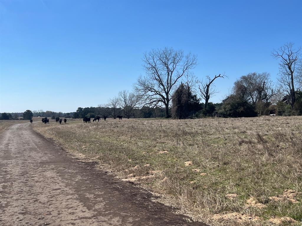 14 Ac Cr 145, Centerville, Texas image 13