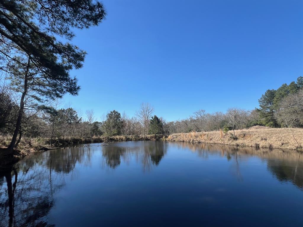 14 Ac Cr 145, Centerville, Texas image 3