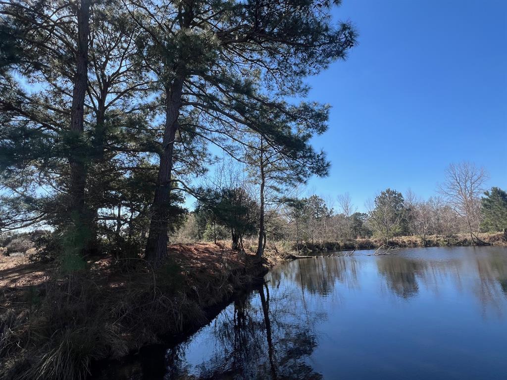 14 Ac Cr 145, Centerville, Texas image 5