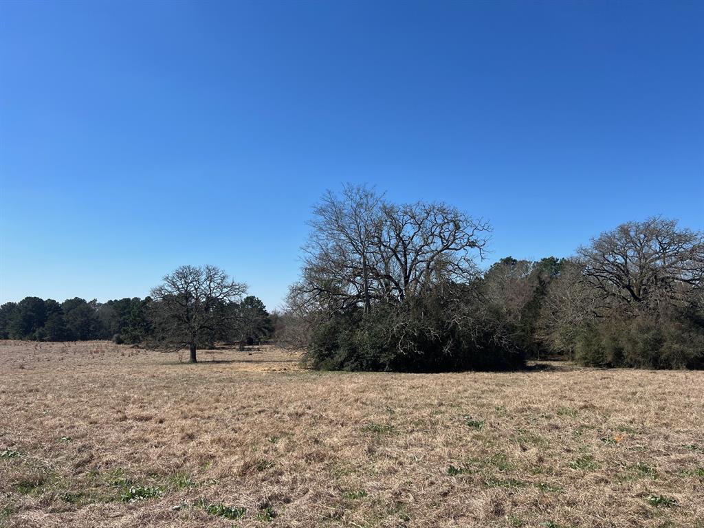 14 Ac Cr 145, Centerville, Texas image 8