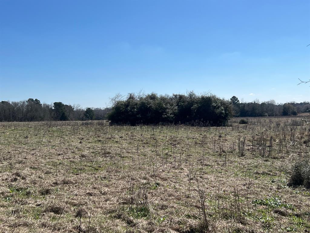 14 Ac Cr 145, Centerville, Texas image 7