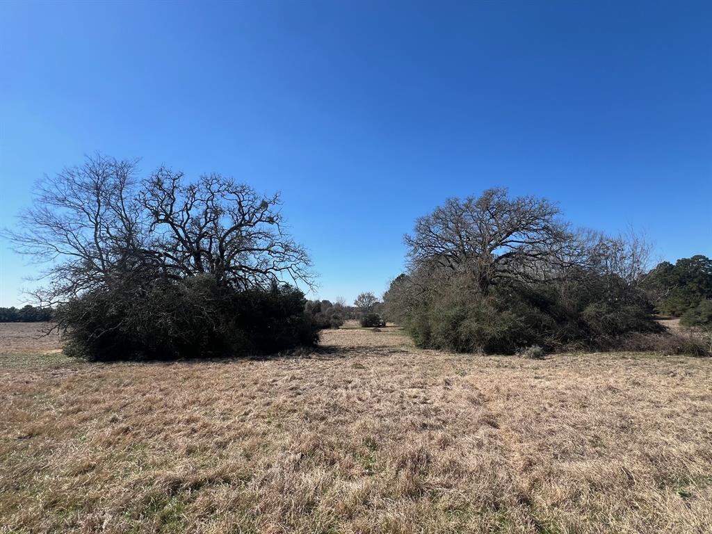 14 Ac Cr 145, Centerville, Texas image 9