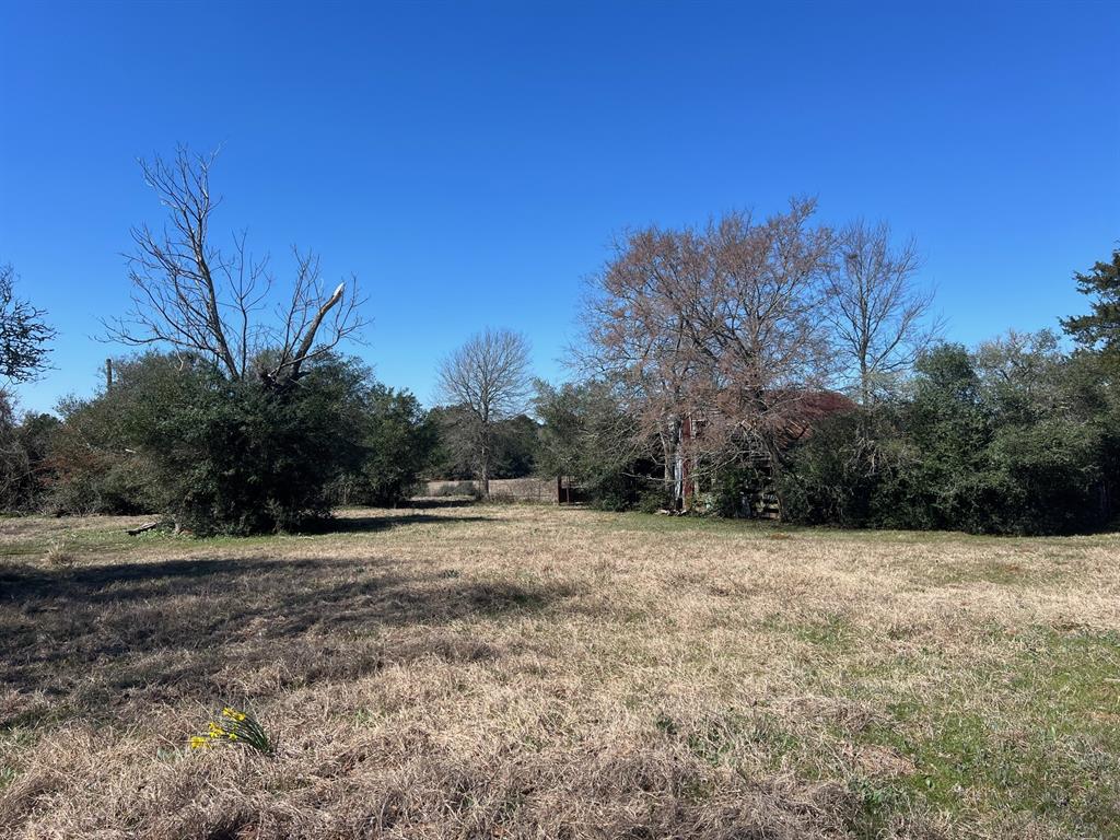 14 Ac Cr 145, Centerville, Texas image 2