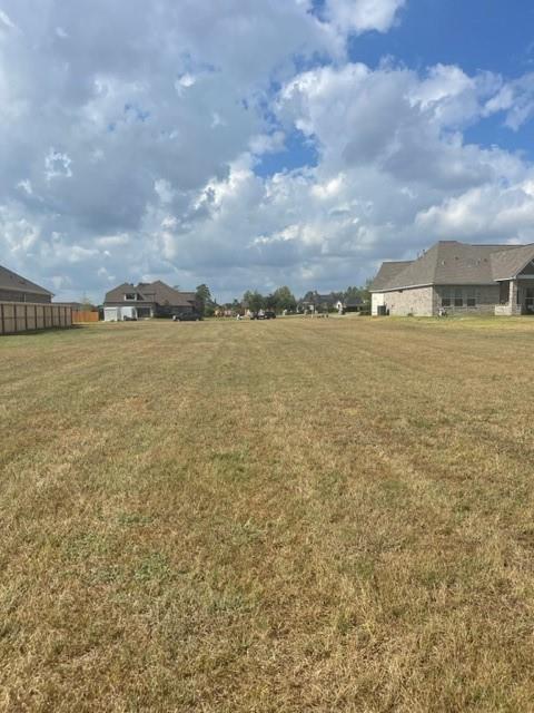 18803 Serene Water Drive, Montgomery, Texas image 3