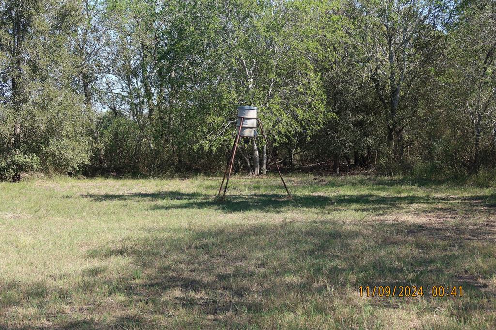 2399 Cr 116, Garwood, Texas image 21