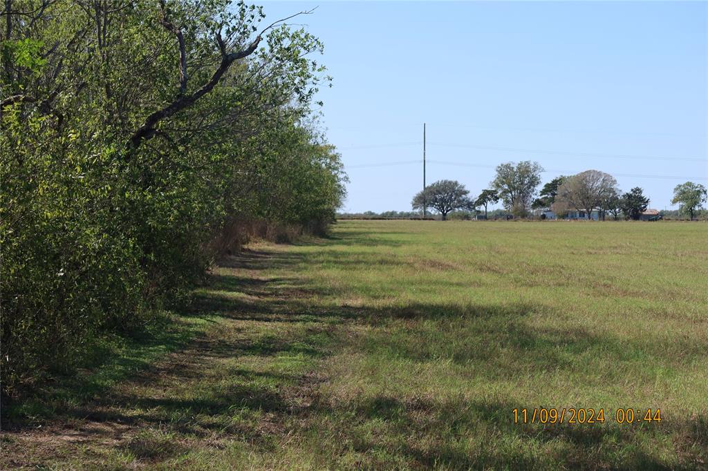 2399 Cr 116, Garwood, Texas image 25