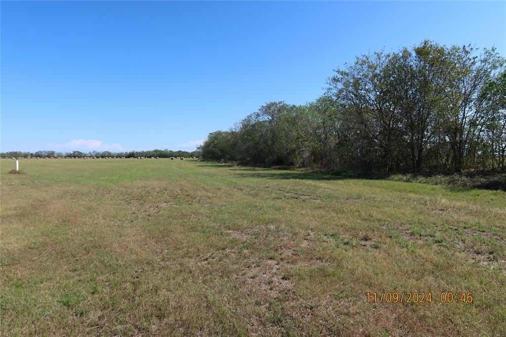 2399 Cr 116, Garwood, Texas image 26