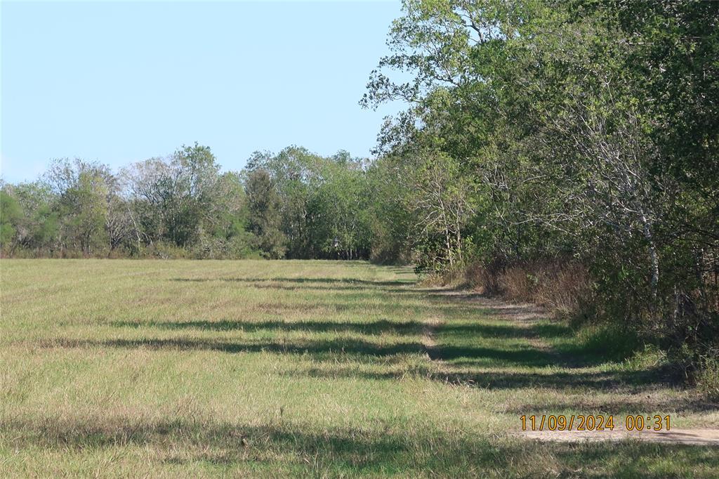 2399 Cr 116, Garwood, Texas image 9