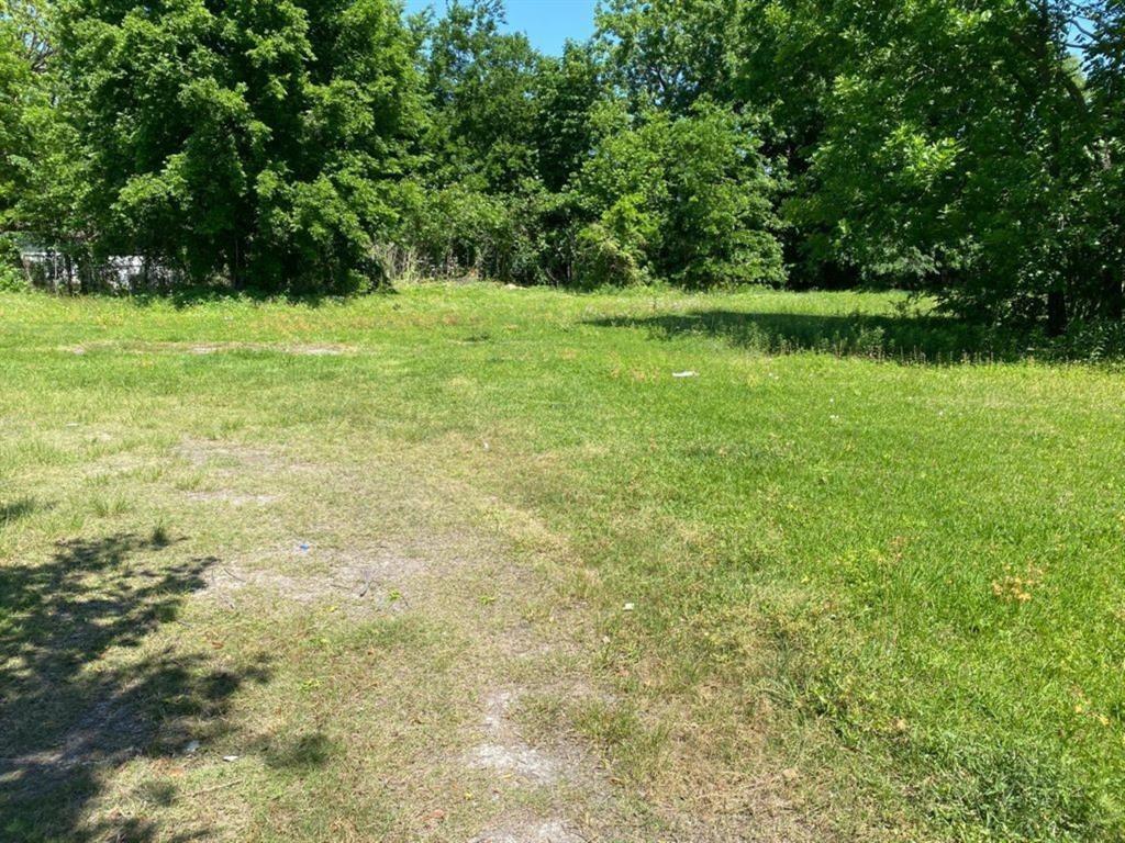 Warwick Road, Houston, Texas image 2