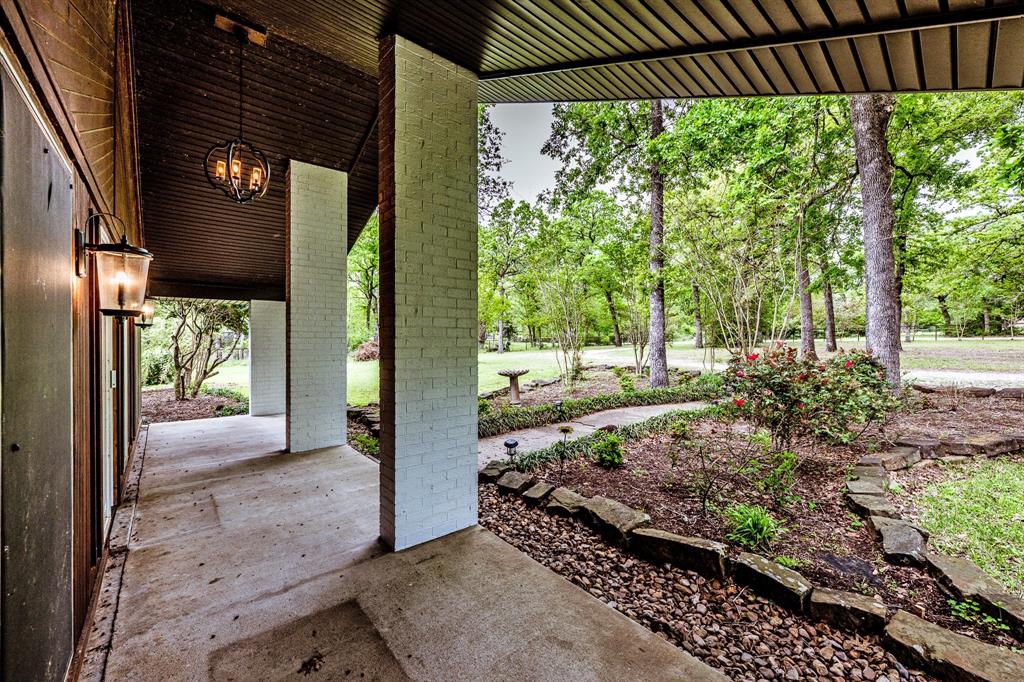 86 Armadillo Drive
