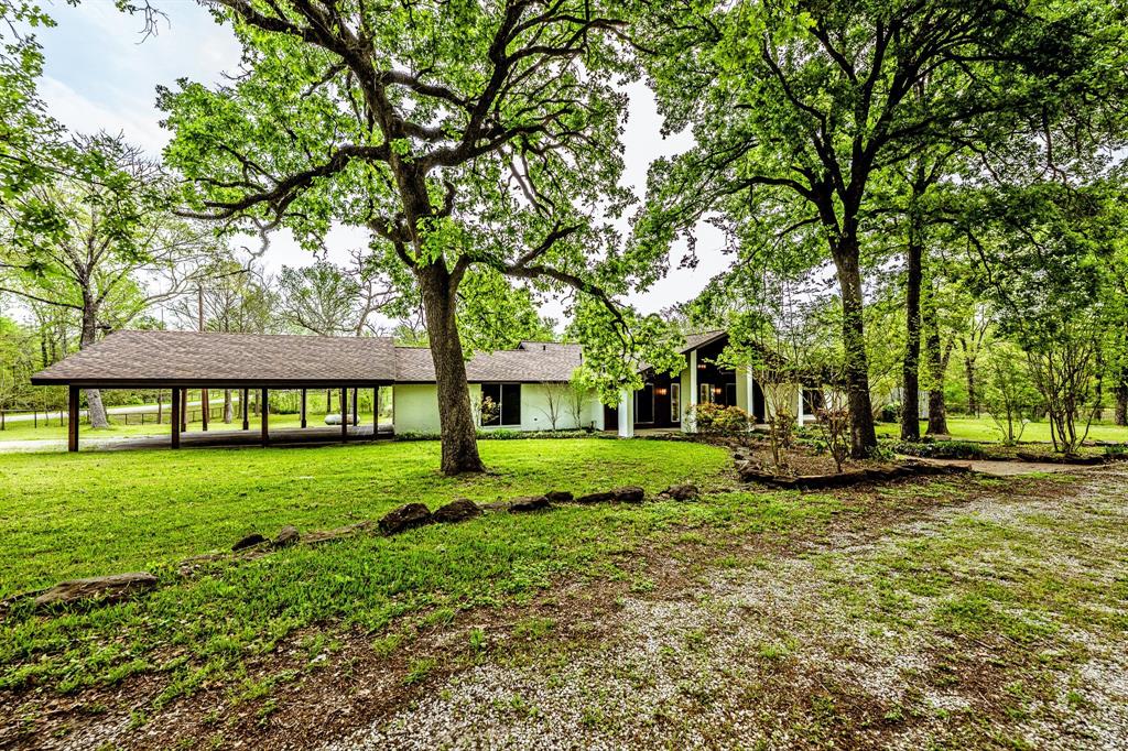 86 Armadillo Drive