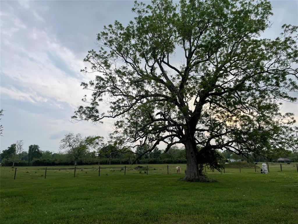 3295 Fm 524, Sweeny, Texas image 12