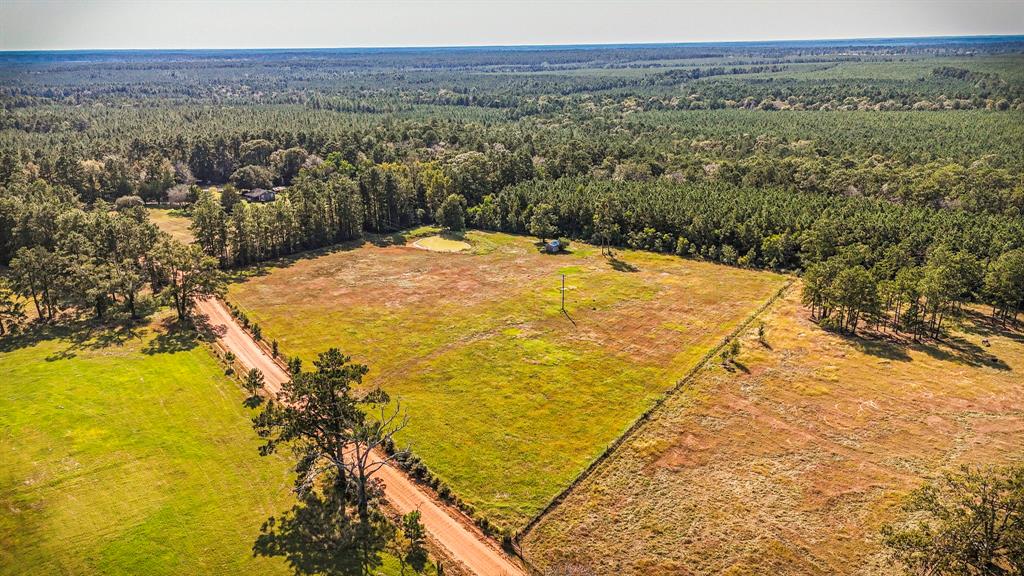 TBA Benny Griffin Road, Livingston, Texas image 3