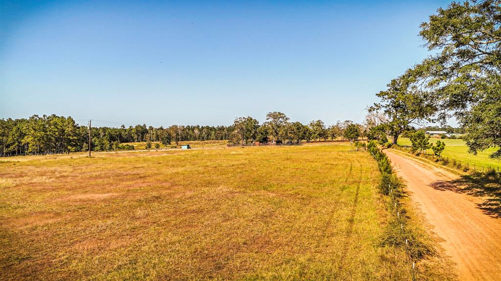 TBA Benny Griffin Road, Livingston, Texas image 14