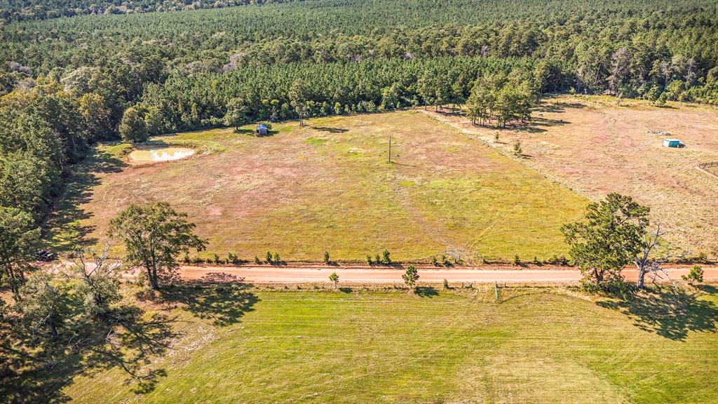 TBA Benny Griffin Road, Livingston, Texas image 6