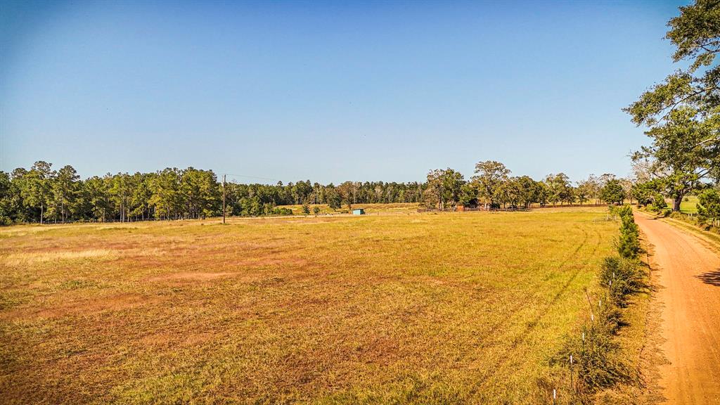 TBA Benny Griffin Road, Livingston, Texas image 15