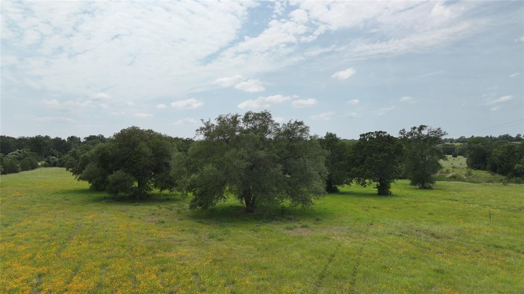 00 Greenvine Road, Brenham, Texas image 10