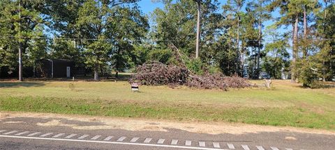 Photo of 0 Palmetto Drive, Livingston, TX 77351 (MLS # 49404793)