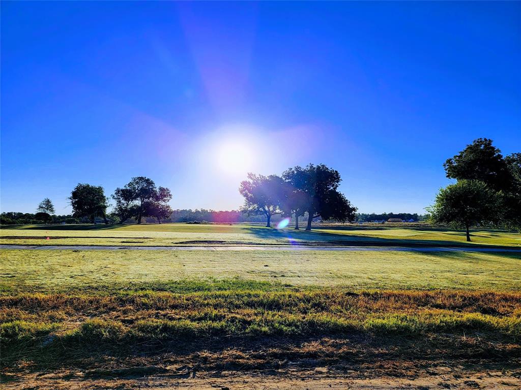 10143 Lehman Drive, Willis, Texas image 9