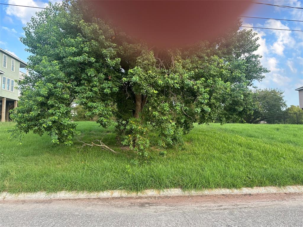 203 Rue Orleans Street, Baytown, Texas image 6