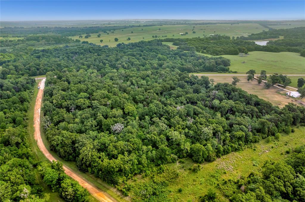 542 Fm-542, Centerville, Texas image 1