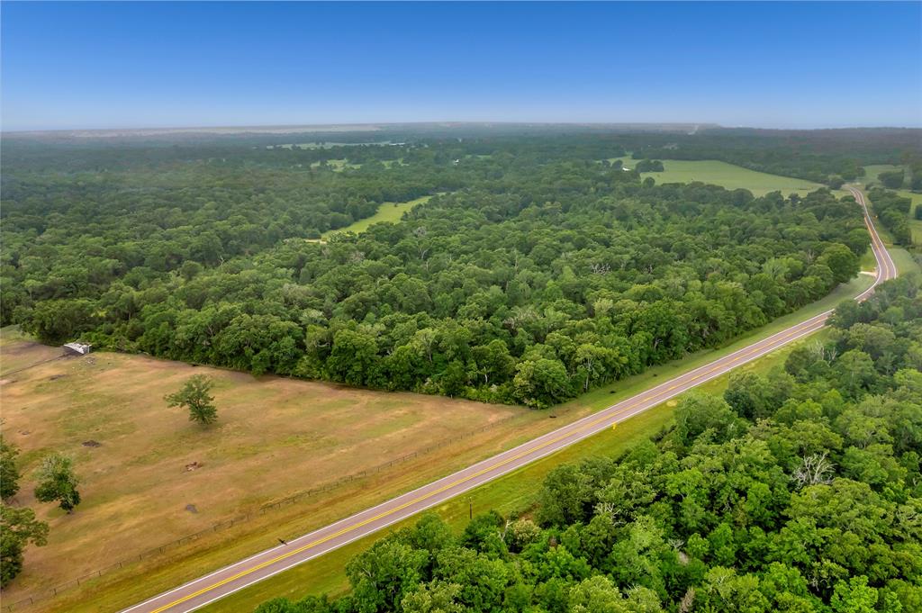 542 Fm-542, Centerville, Texas image 3