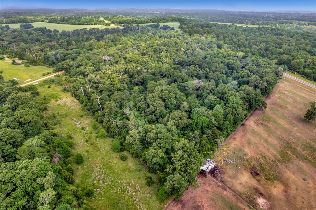 542 Fm-542, Centerville, Texas image 10