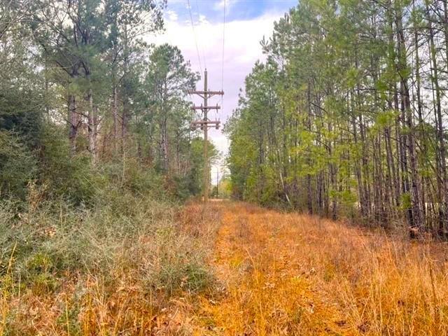 TBD Fm 692, Burkeville, Texas image 4