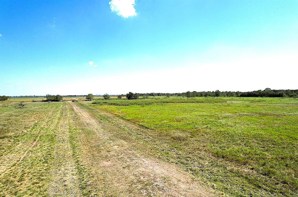 12239 Padon Road, Needville, Texas image 6